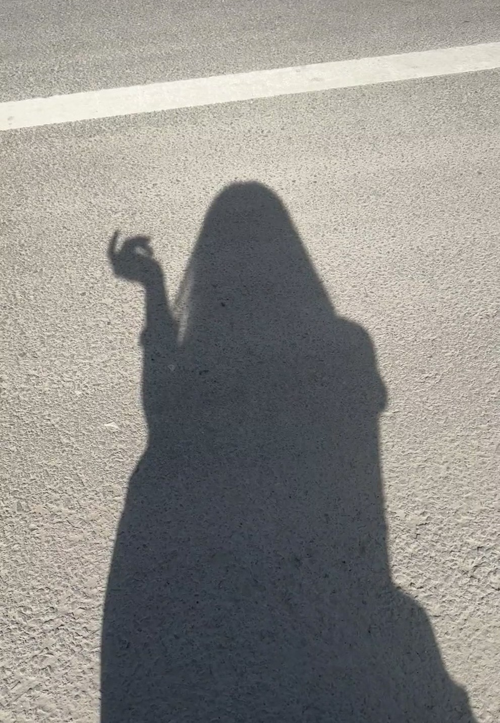 福多多！去捡瓶子了主播图片