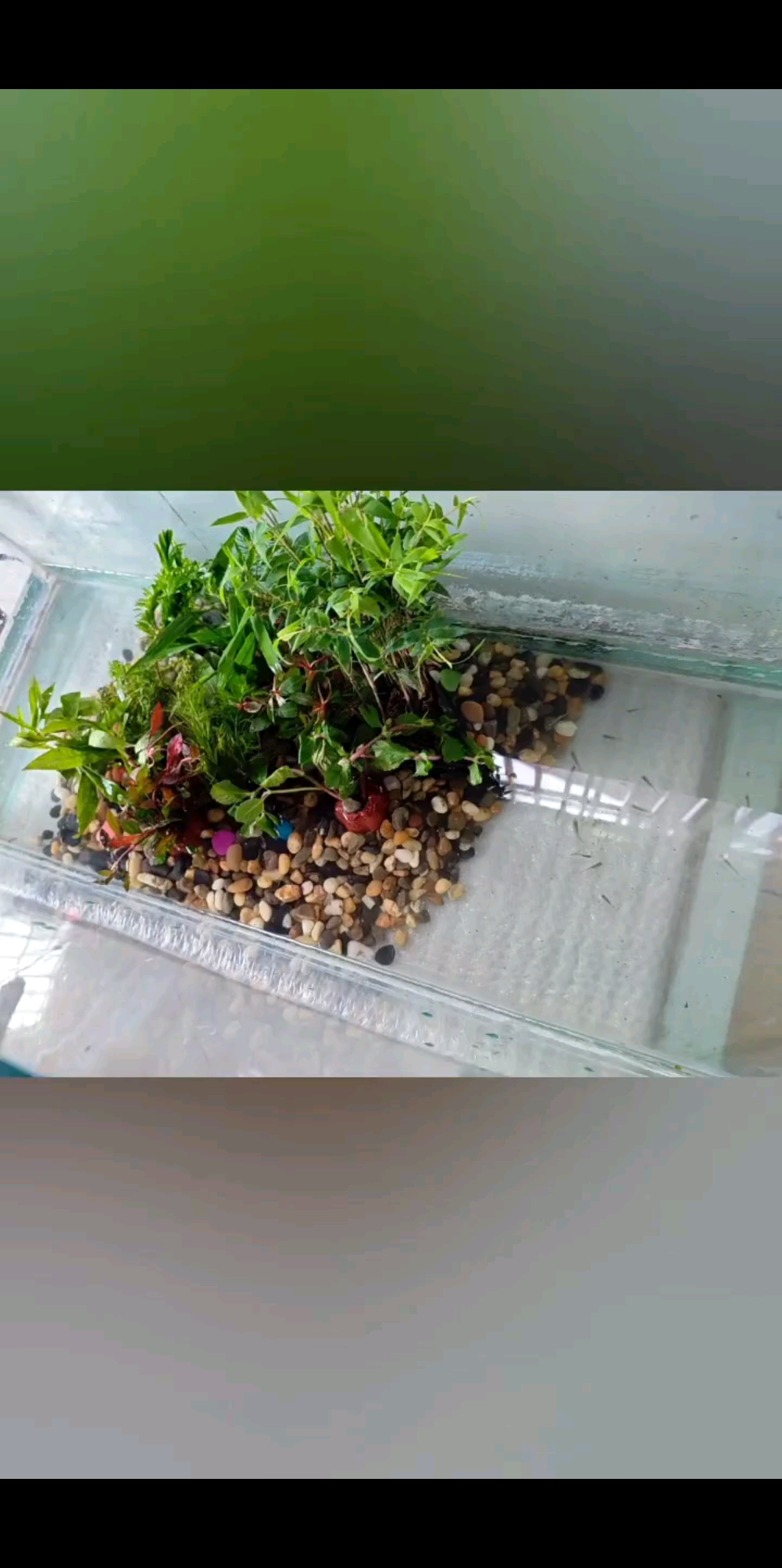 《踏凌霄》/地雷