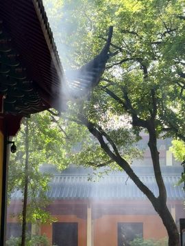 日【❤️】初的图片