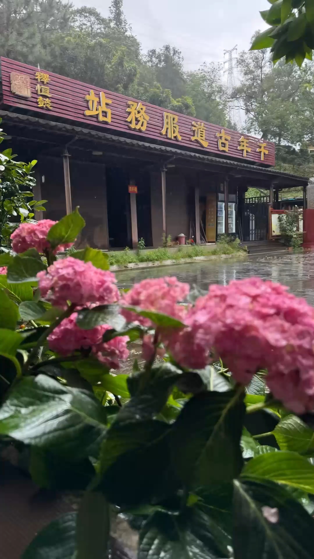 眼里无尘只净观，心底