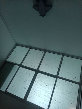月月好迷茫无助的图片
