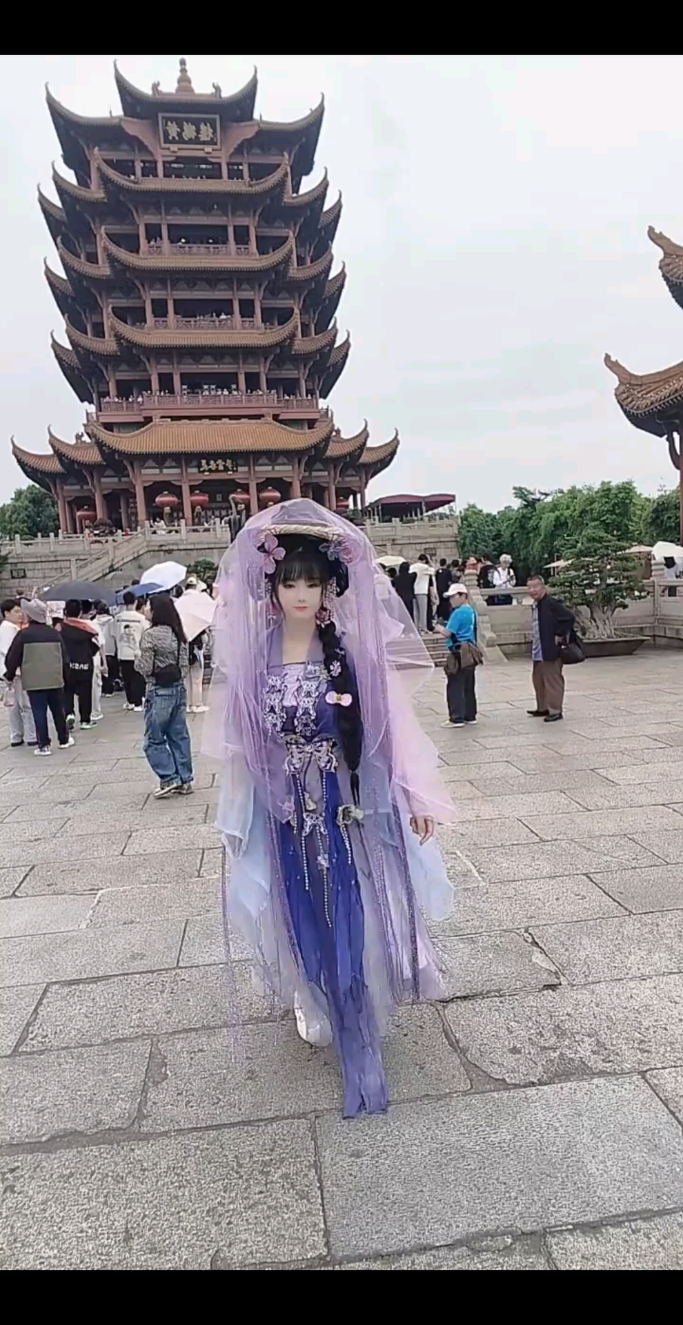 观看19次