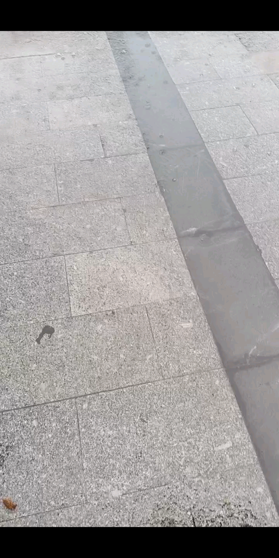 观看4次