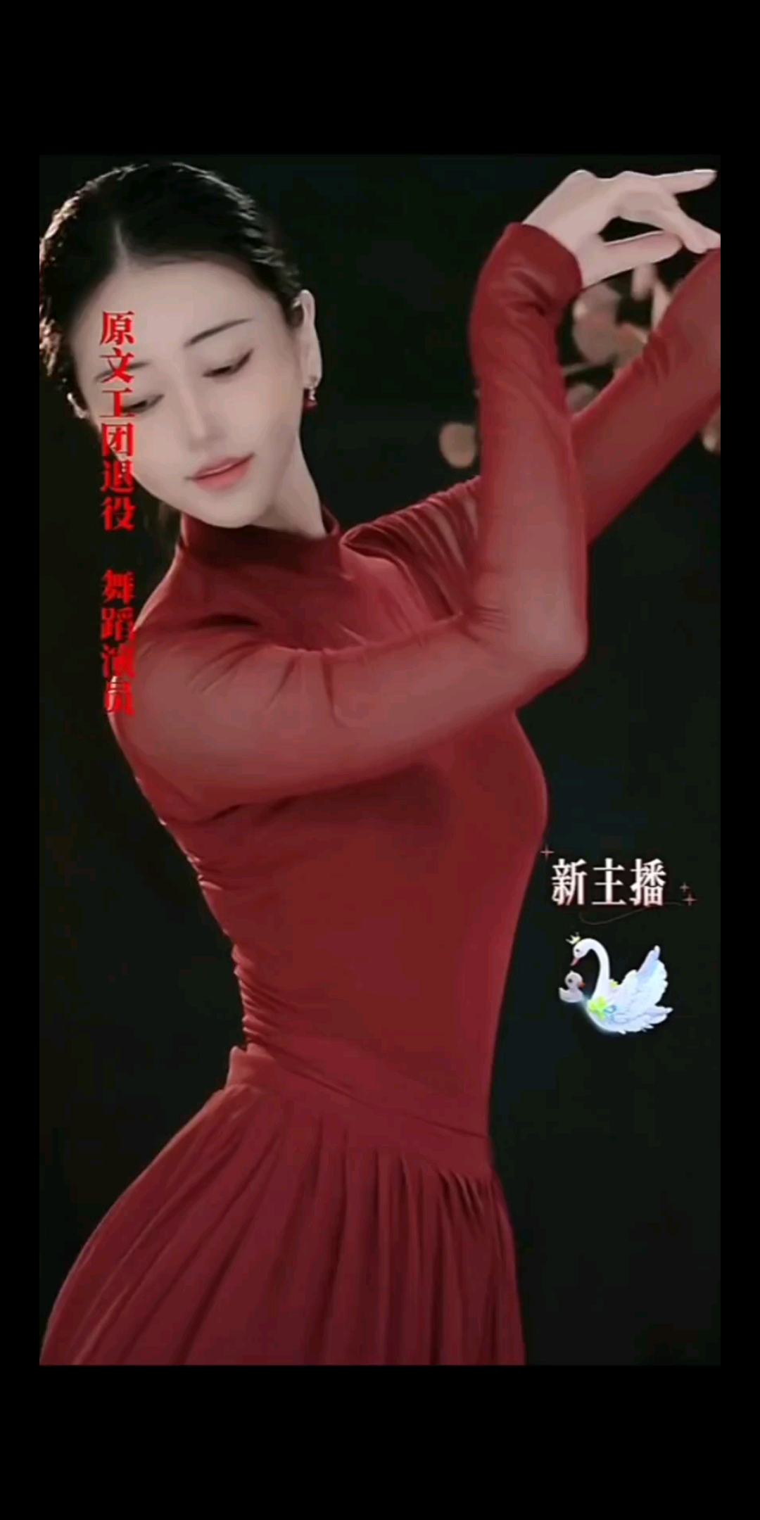 折翼海东青