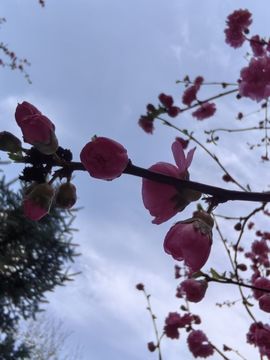 若曦🍀的图片