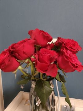 宝莉吖的图片