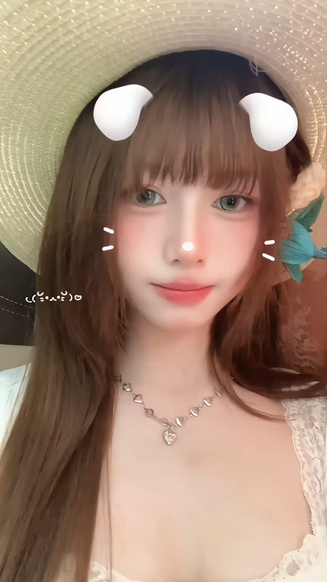 观看5次