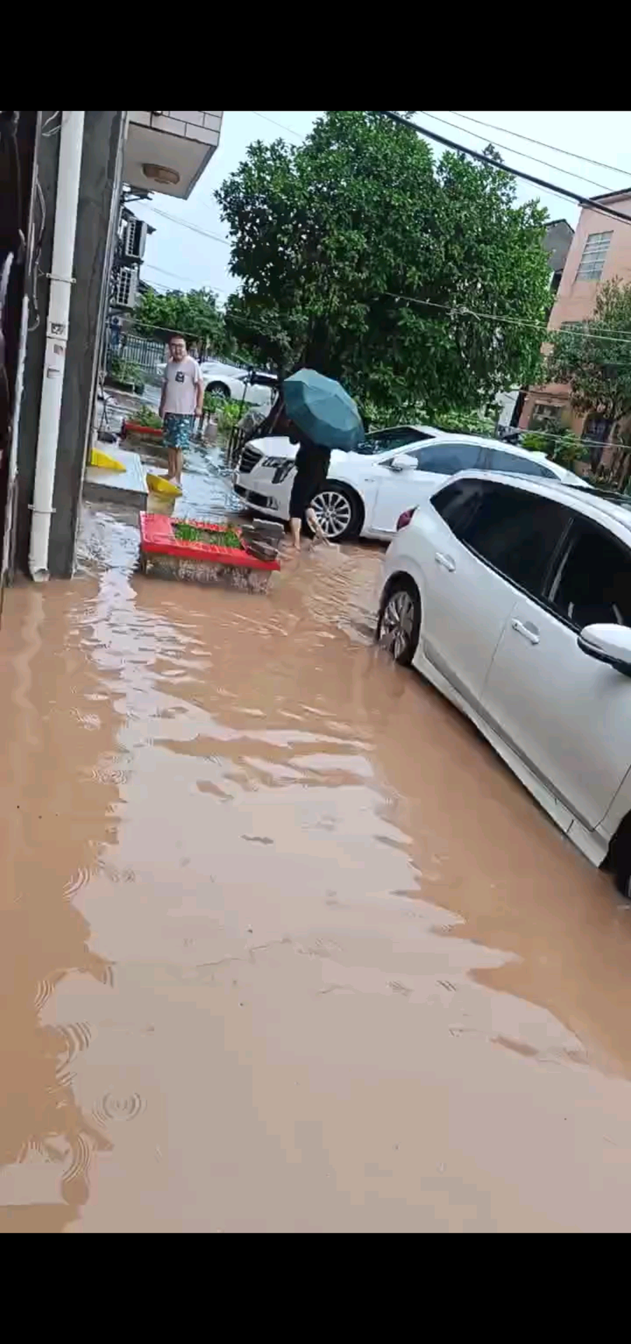 观看5次