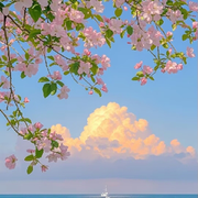 “风雨踏梦行，