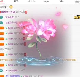 晚晚彩礼三头猪的图片
