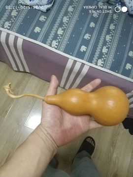 杀止若的图片