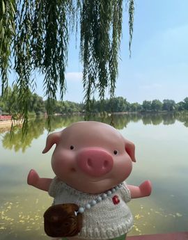 囧小豬🐷的图片
