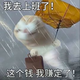 躲在角落的雪儿🍀主播照片