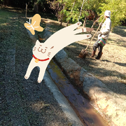 走过的岁月🌙