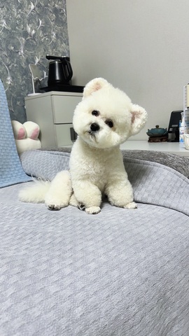 钱多多❥兔子的图片