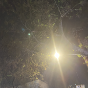 停别动
