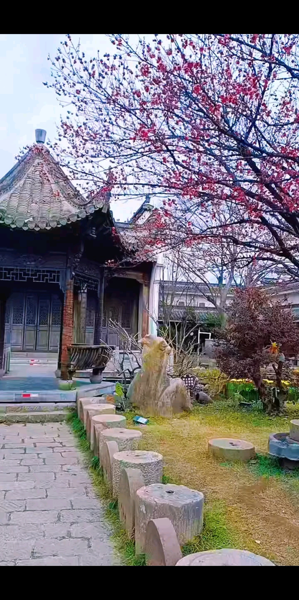 观看7次