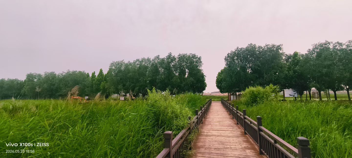 河南妞妞主播图片