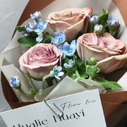 菜菜的小萌新