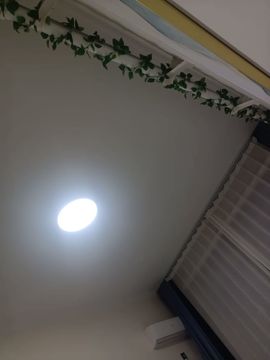 冀C56789.主播照片