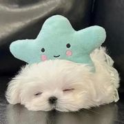 李佳梦～