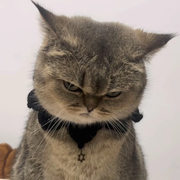 。。。超群