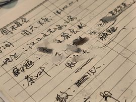 茶茶贺我宇宙帝尊啦的图片