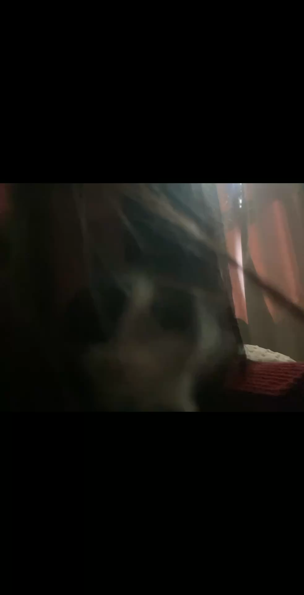 观看221次