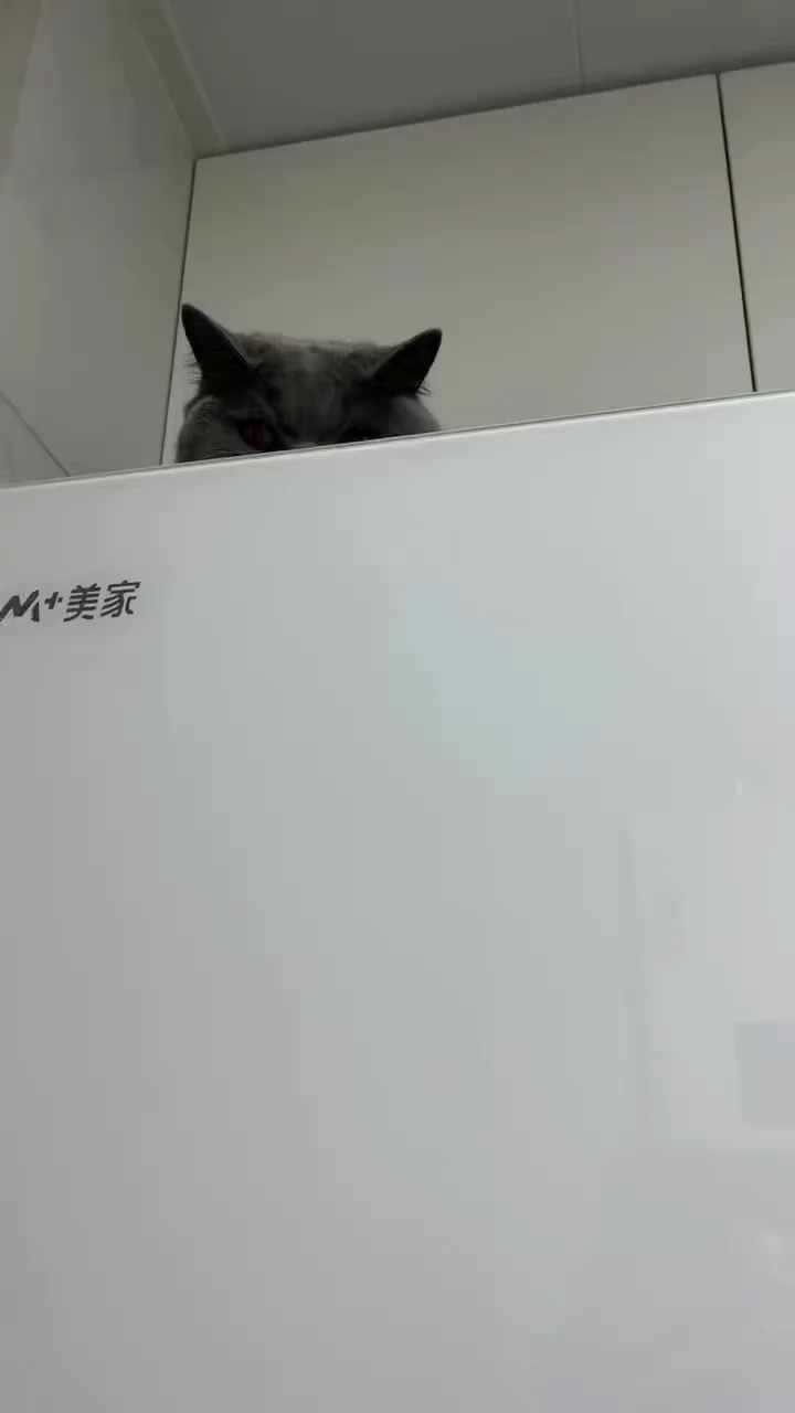 观看84次