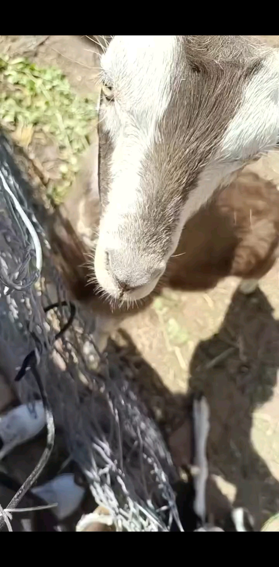 观看92次