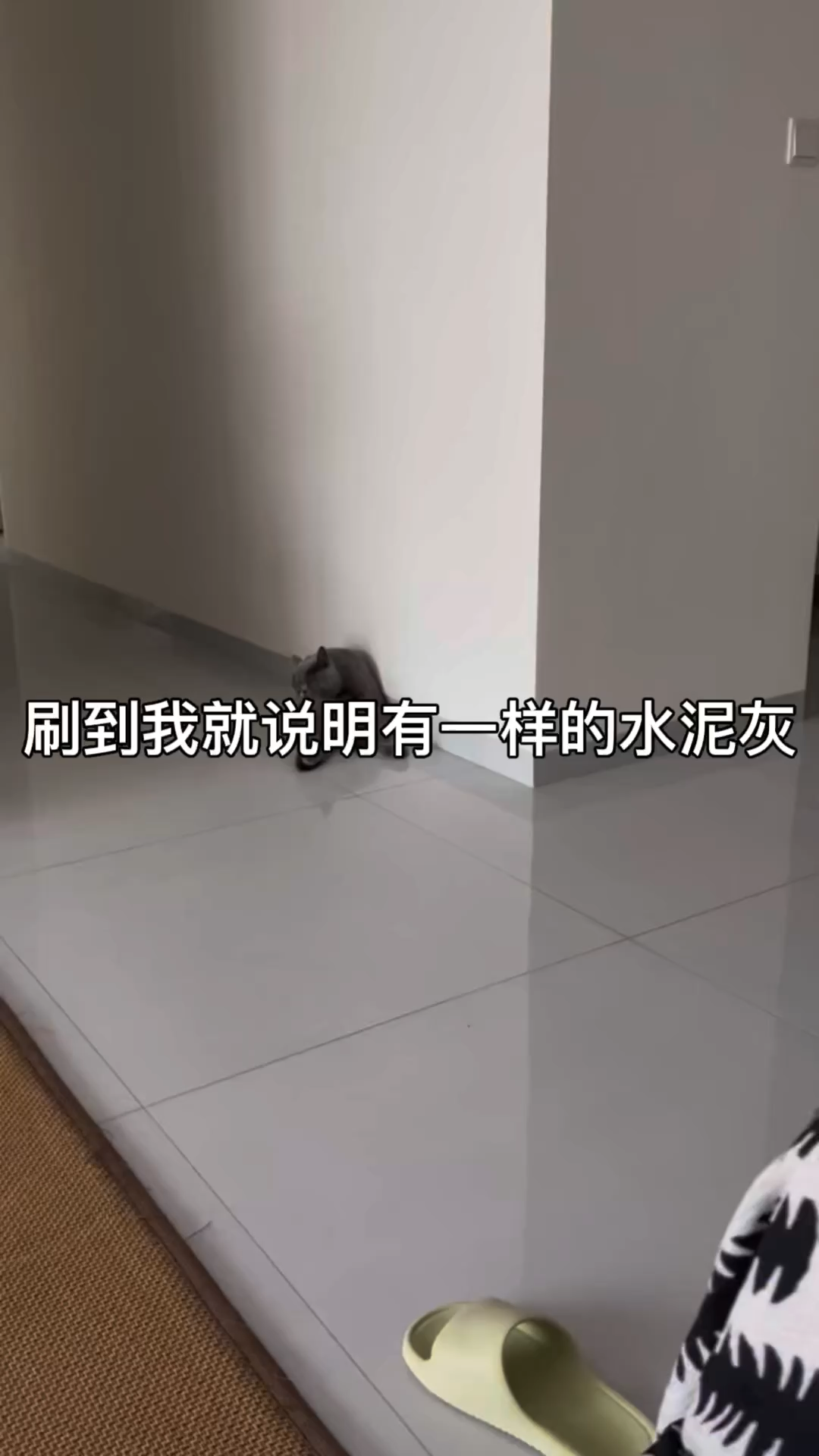我们可爱吧