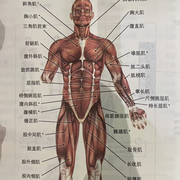 什么玩意啊啊
