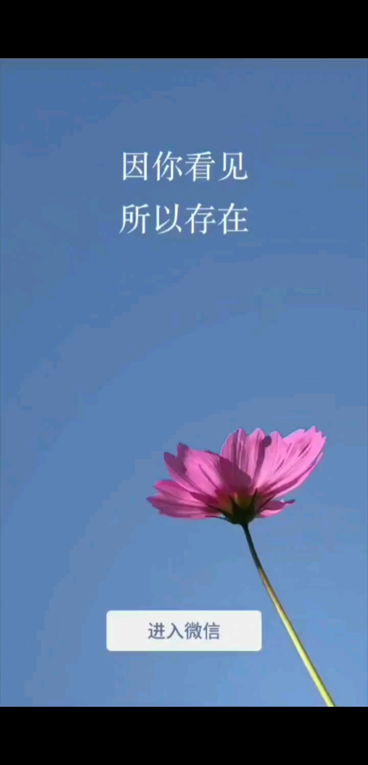 /美女/靓仔