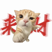 黛安越来越好