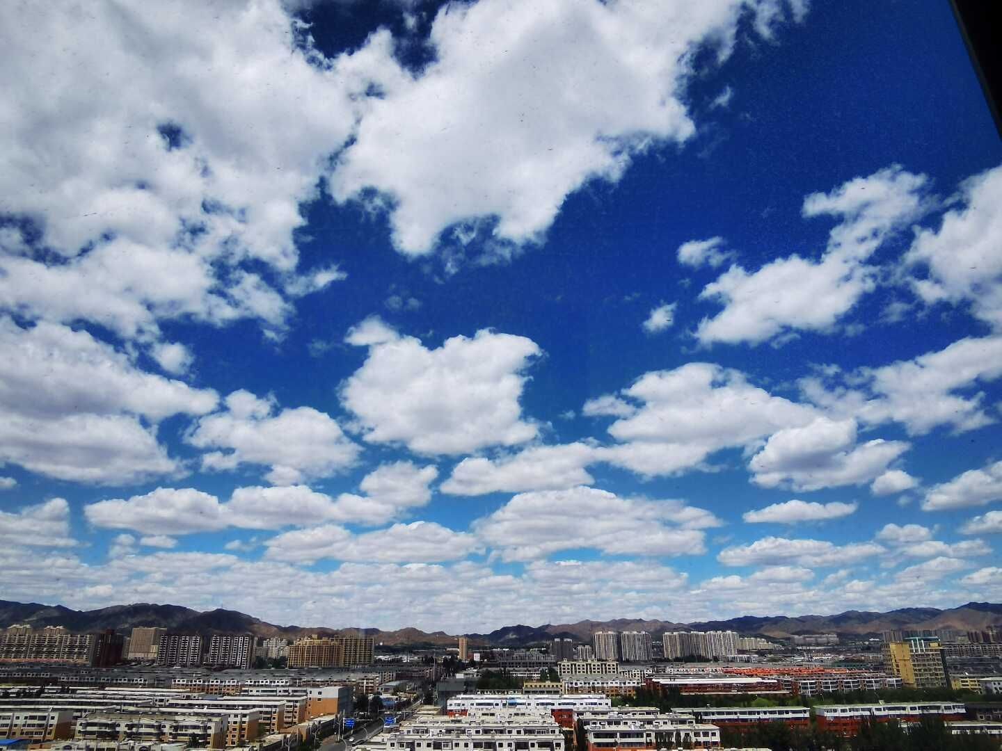 天王盖地虎虎044的主播照片