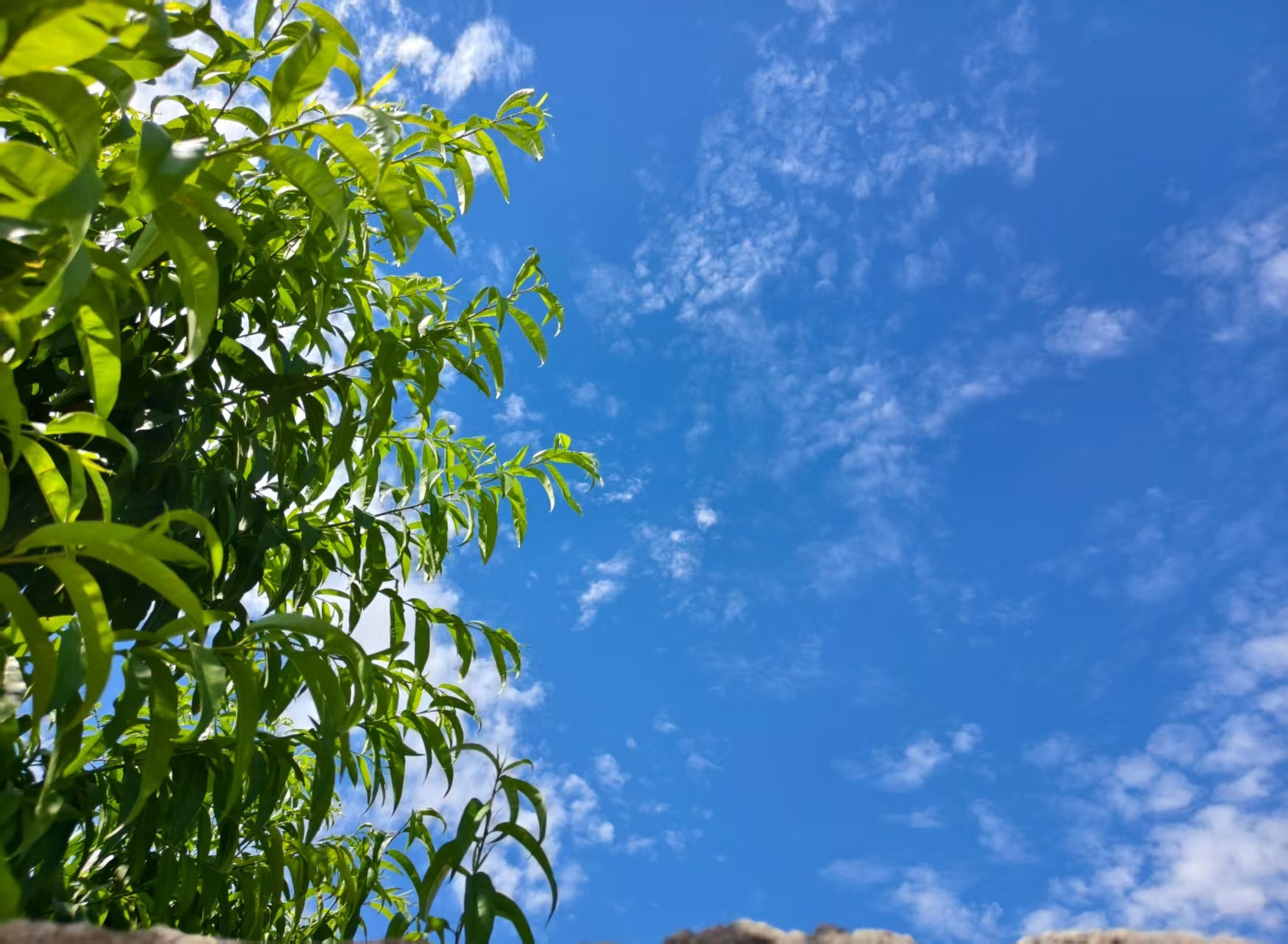 瑶，唱歌你听🎤的主播照片