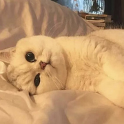 莫见tx的头像