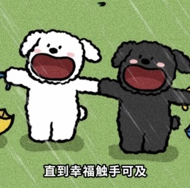 袁舟舟舟的图片