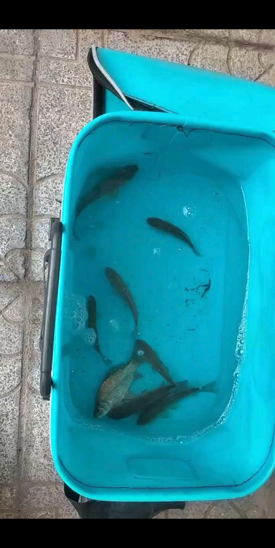 /肿么了