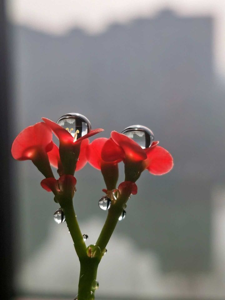 天王盖地虎虎044的主播照片