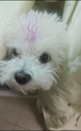 泽夕₍ᵔ･•･ᵔ₎主播照片