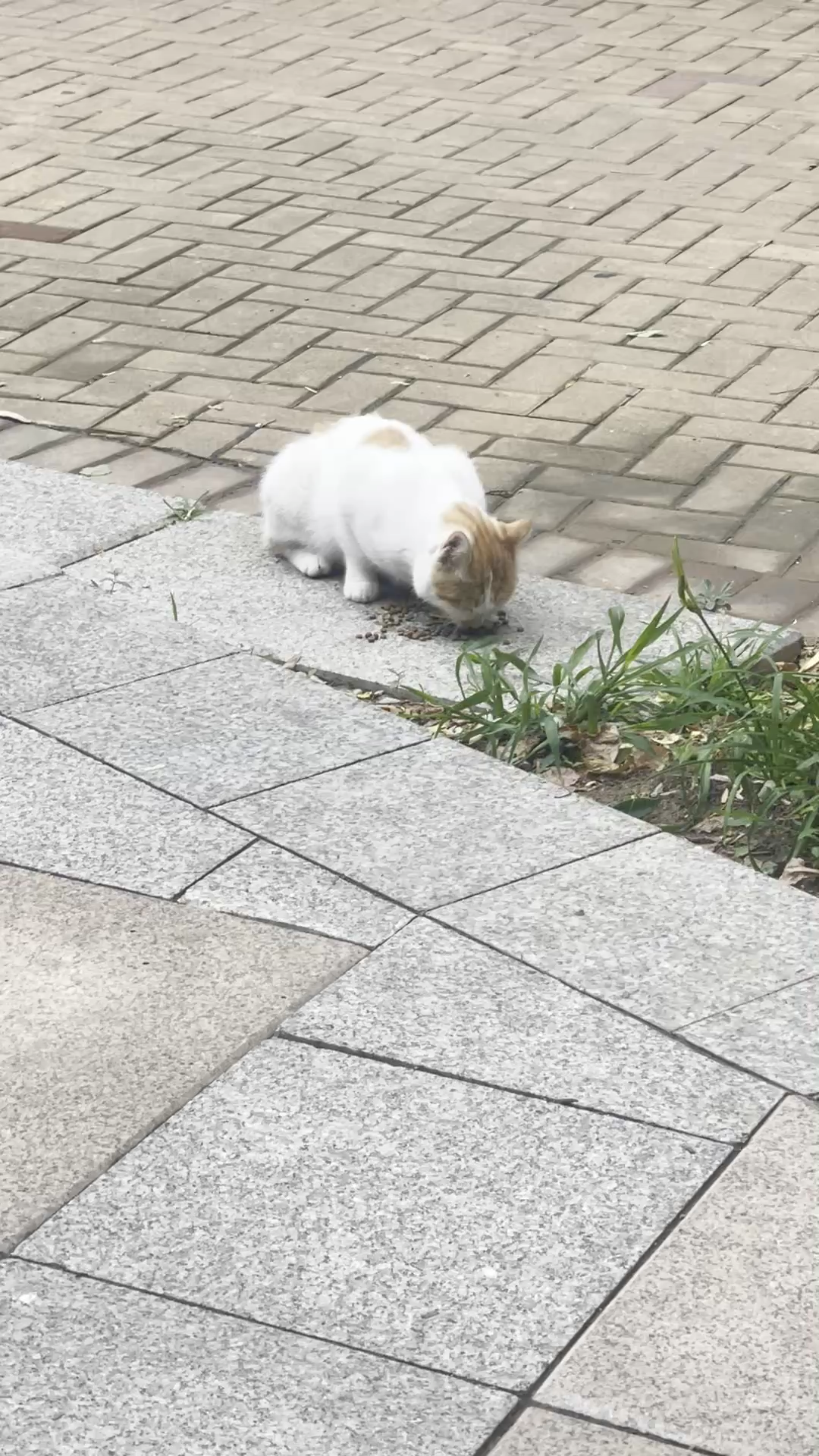 有吃有喝对它来说就是