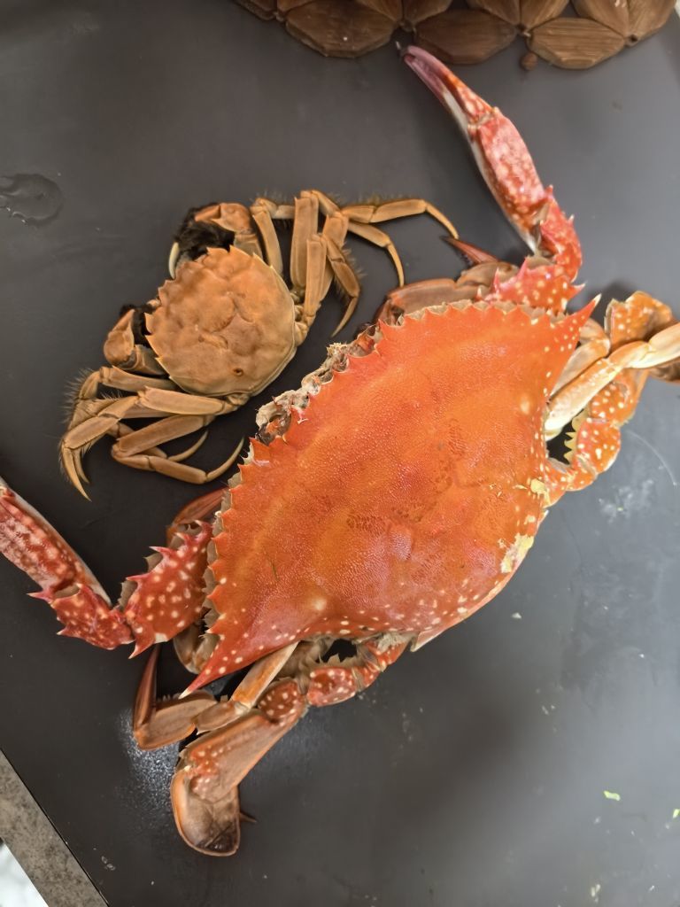 小燚(yi)的主播照片