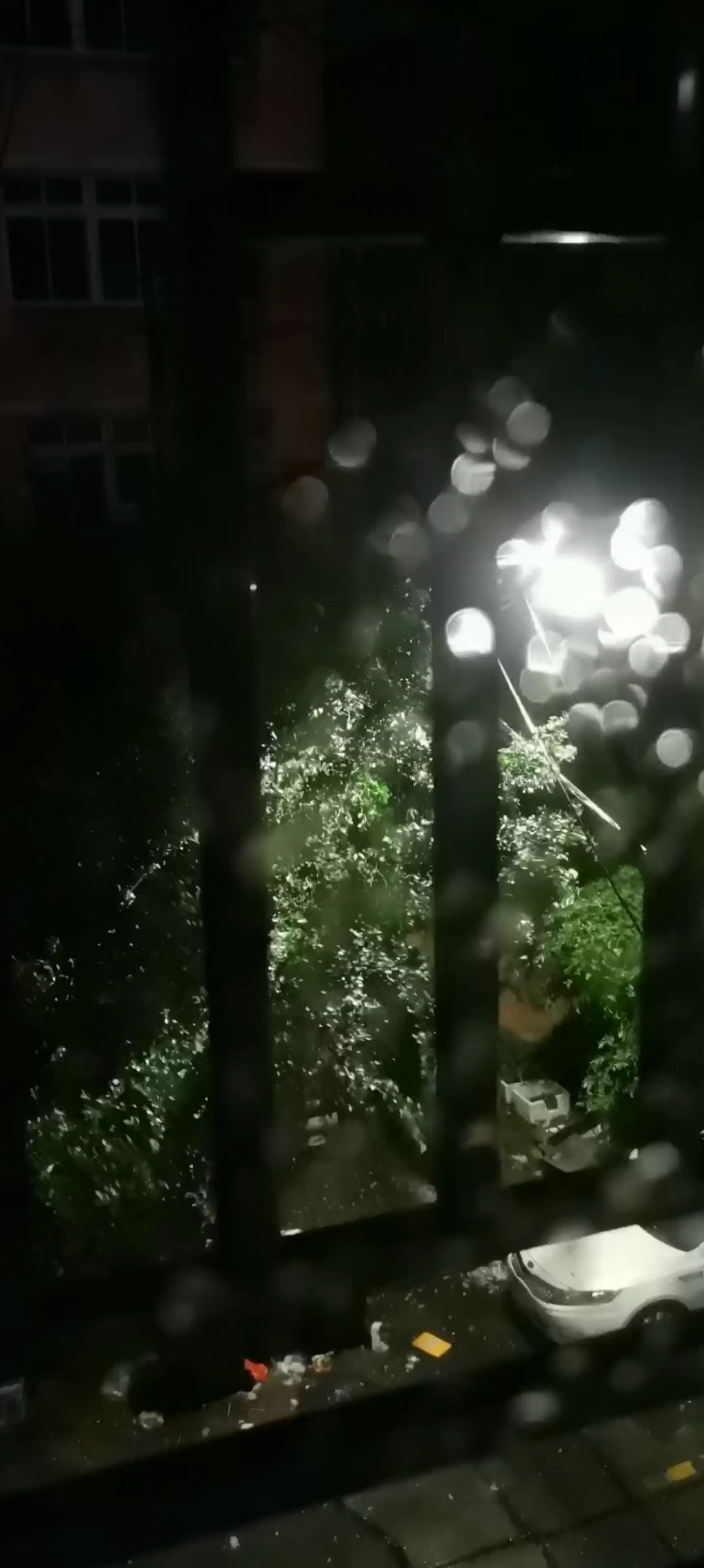 此刻外面发出鬼狐狼嚎