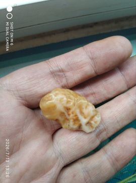 杀止若的图片