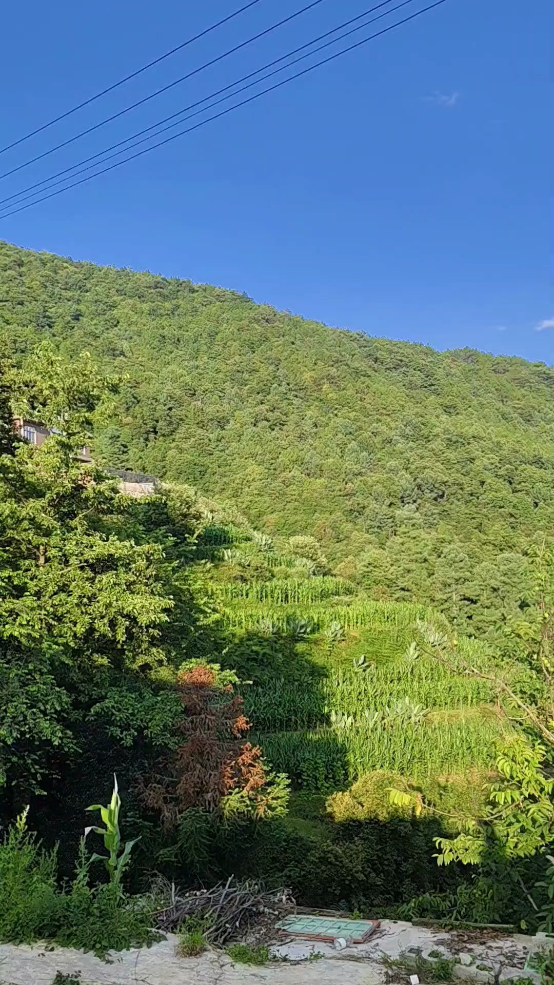 蓝天白云 山清水秀