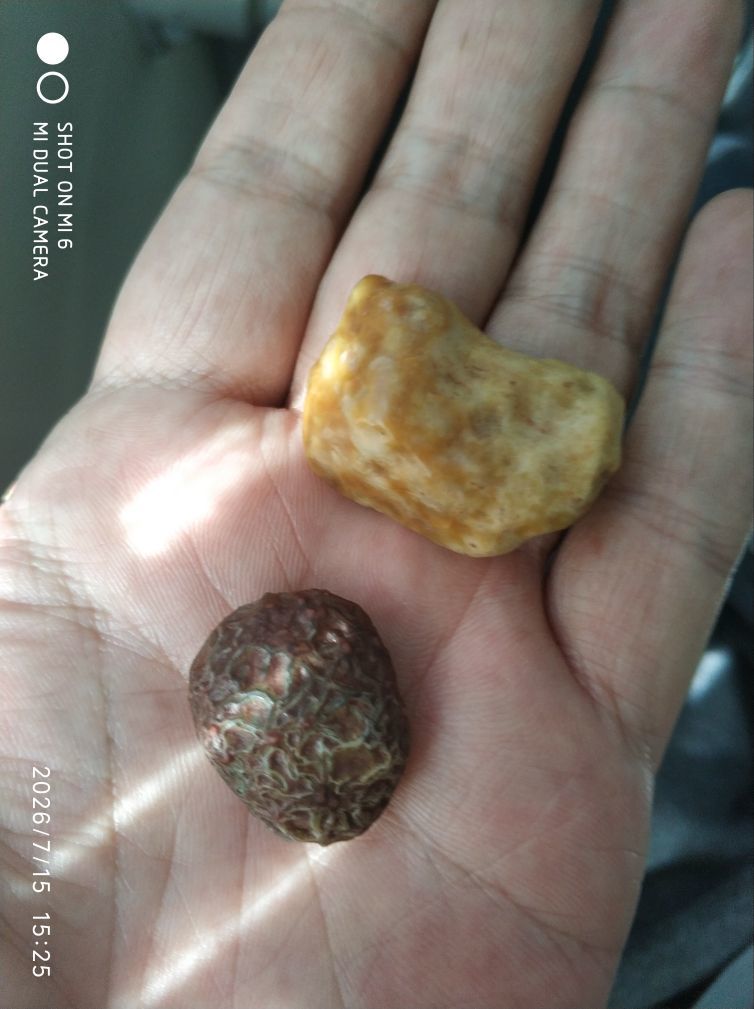 杀止若的主播照片