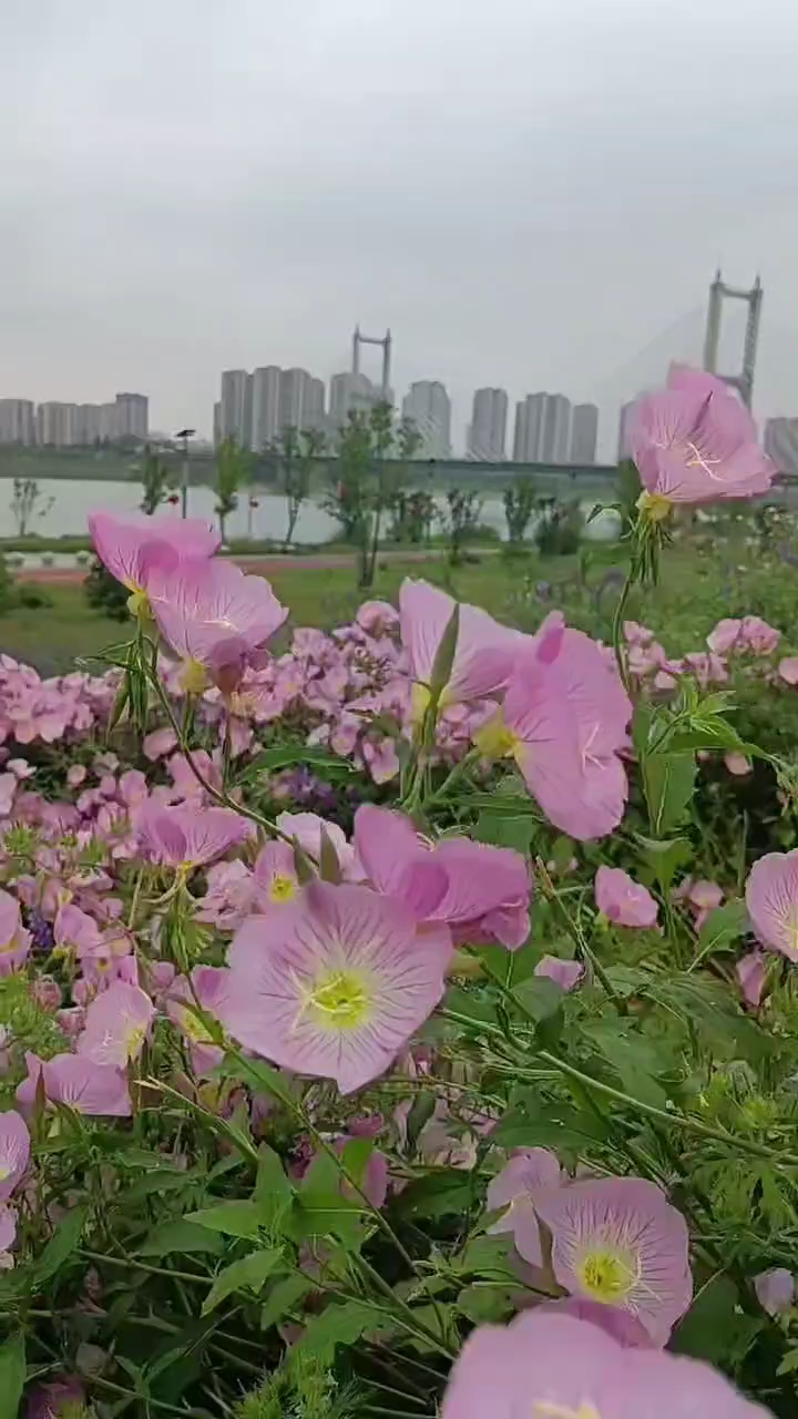 观看277次