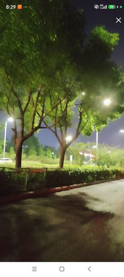 婷婷💕感恩有你陪伴的图片