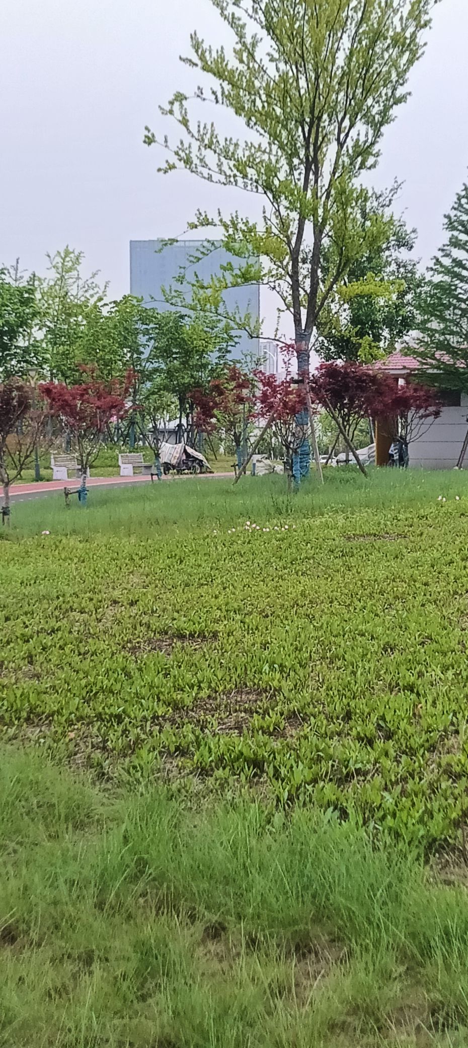 傲世_天下的主播照片